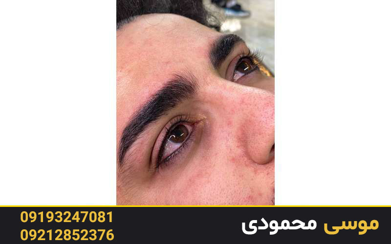 سخن پایانی درباره بن مژه